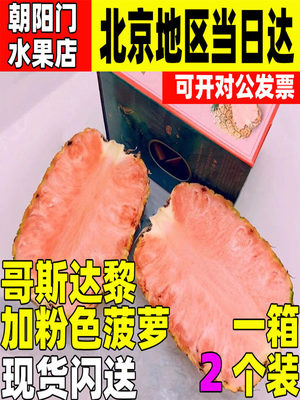 哥斯达黎加粉色菠萝凤梨新鲜高端孕妇水果礼盒1只装稀有水果包邮