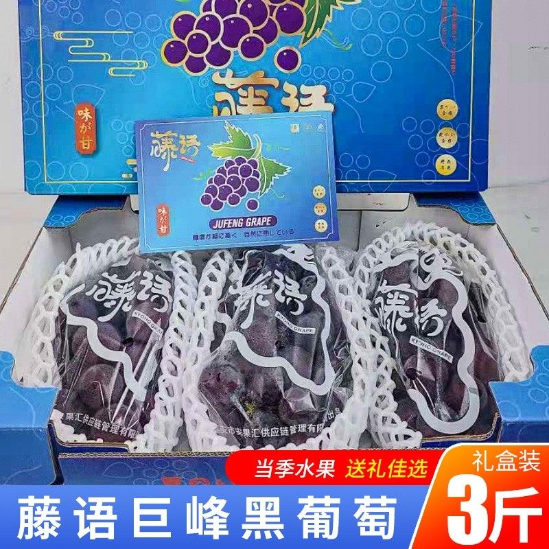 藤语黑莓巨峰葡萄3斤礼盒甜蜜多汁当季新鲜时令水果黑提子夏黑