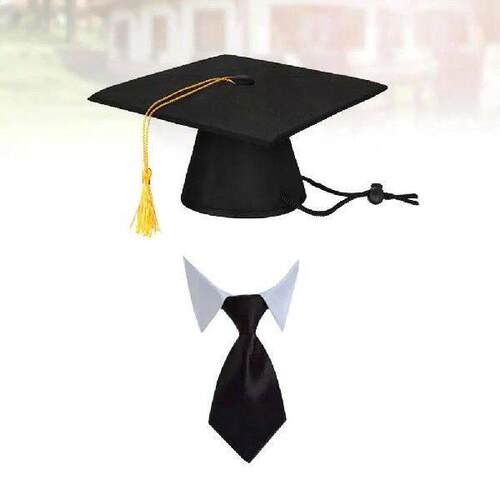 2 Pcs Black Pet Graduation Cap Tie Set High Quality Dog Hat