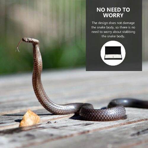 Snake Recognition Tool Reptile Gender Recognition Tool