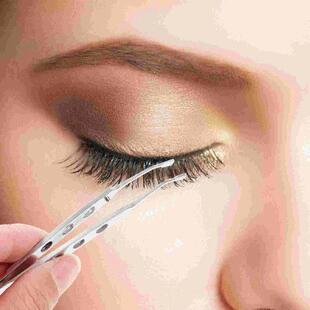 Eyelid Tweezer Meibomian Gland Expressor Stainless Steel