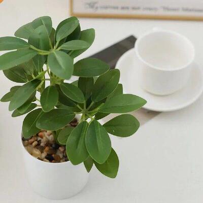 22cm Artificial Potted Plants Schefflera Octophylla Plastic