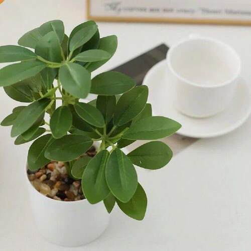 22cm Artificial Potted Plants Schefflera Octophylla Plastic