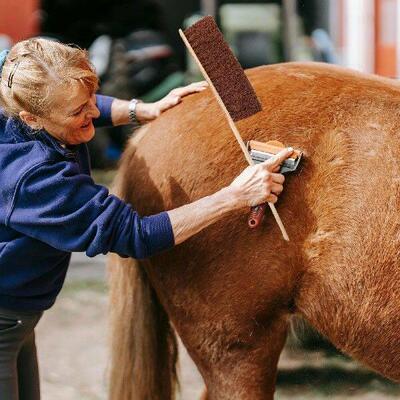 Horse Cleaning Brush Grooming Products Bamboo Palm Fiber