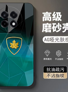 金枫叶适用一加Ace竞速版手机壳一加ace5pro至尊新款一加ace3v/2v高级13t/12/11r女一加10/9pro防摔8t软壳