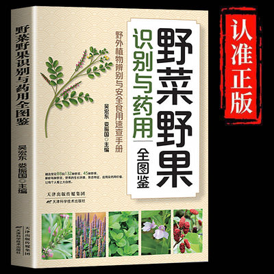 【抖音同款】野菜野果识别与药用全图鉴 高清精编野外认采实用好学易上手书籍野外植物辨别与安全食用速查手册简单入门书