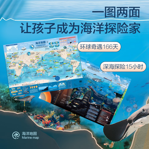 海洋地图 一图两面 让孩子成为海洋探险家 图解体验墙贴挂画