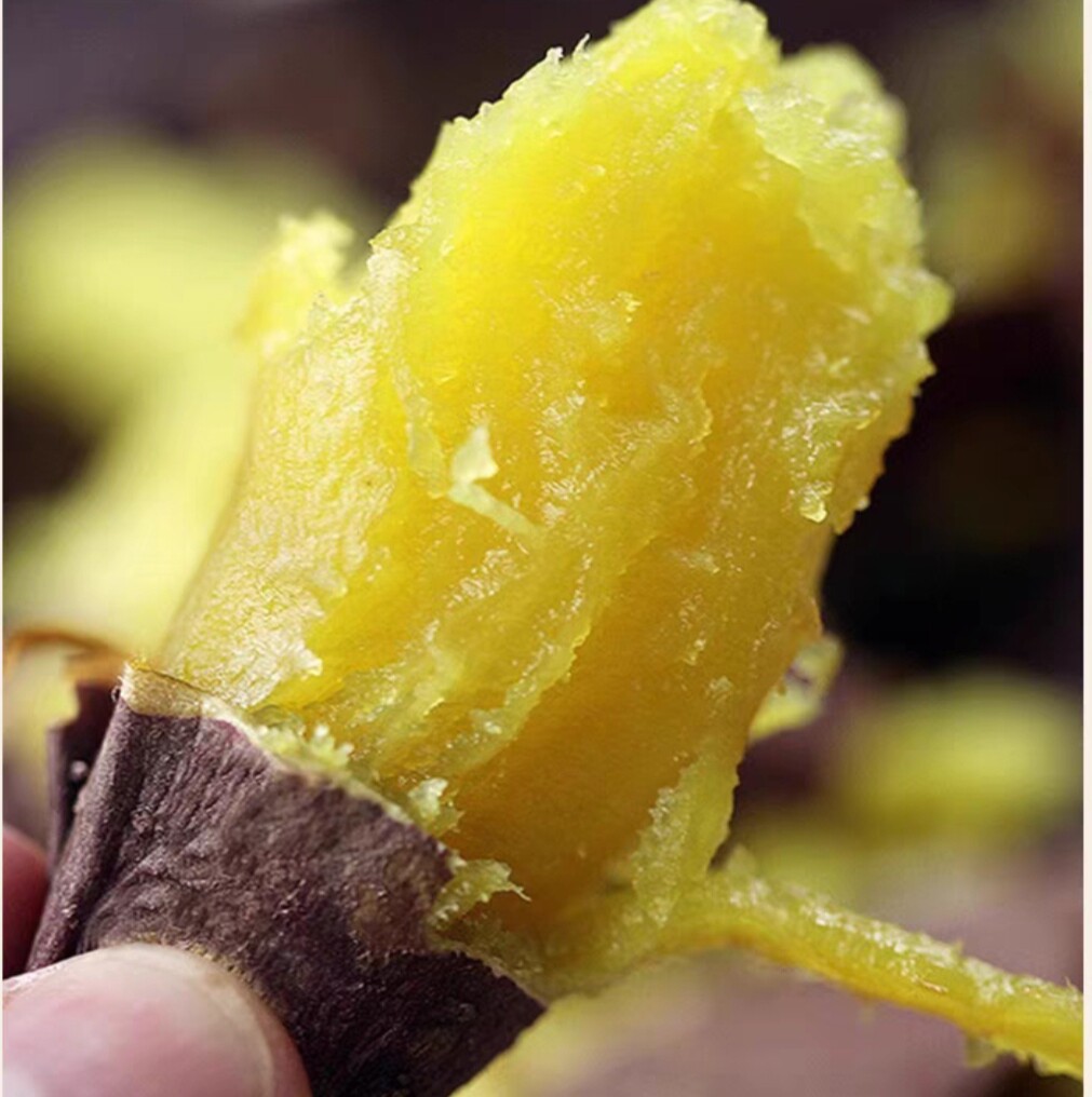正宗玛莎莉黄金榴莲蜜薯黄心软糯香甜番薯地瓜超甜日系高端红薯