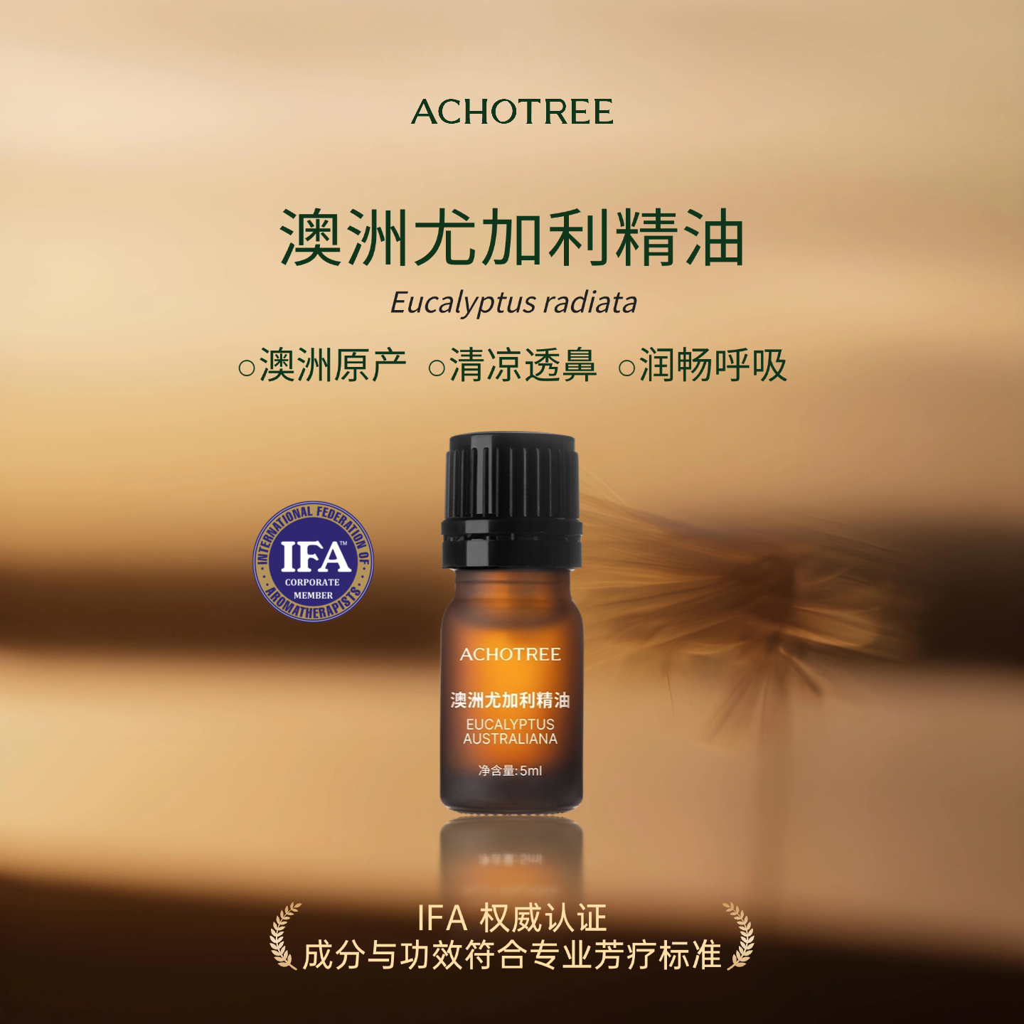ACHOTREE澳洲尤加利单方精油