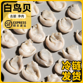 大连白鸟贝冷冻去壳去内脏无沙正宗白鸟贝类净肉冷冻海鲜