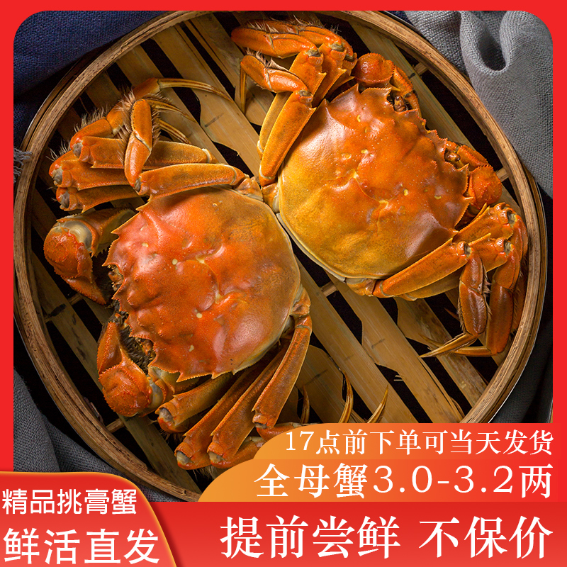 【活蟹】金澄蟹韵 严选精品大闸蟹 全母蟹3.0-3.2两 提前尝鲜装