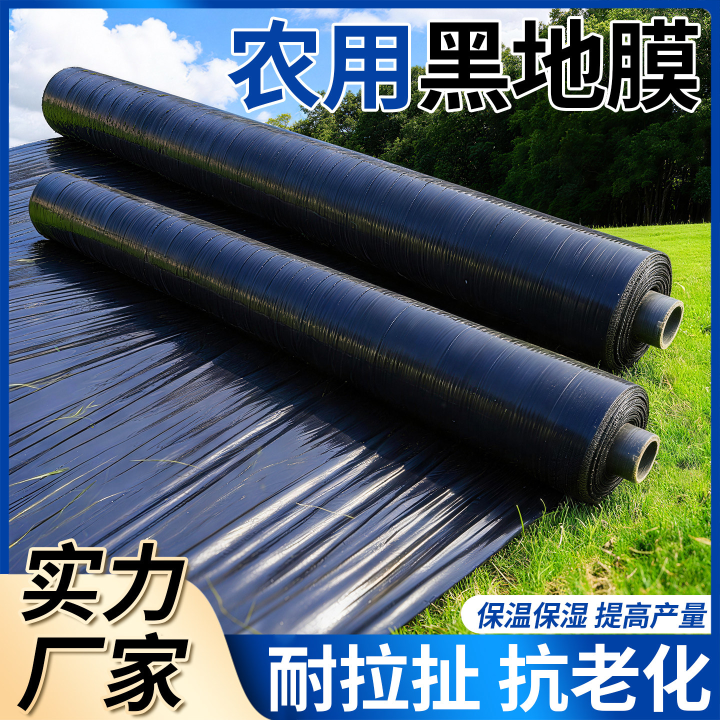 黑色地膜农用加厚塑料薄膜一次性户外保温膜防寒冬天菜地盖菜防冻,农机/农具/农膜,农用薄膜,淘宝优惠券,粉丝福利购,淘宝优惠卷