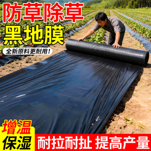 黑地膜农用种植防草加厚塑料薄膜户外保温防水膜冬天防冻菜地防寒