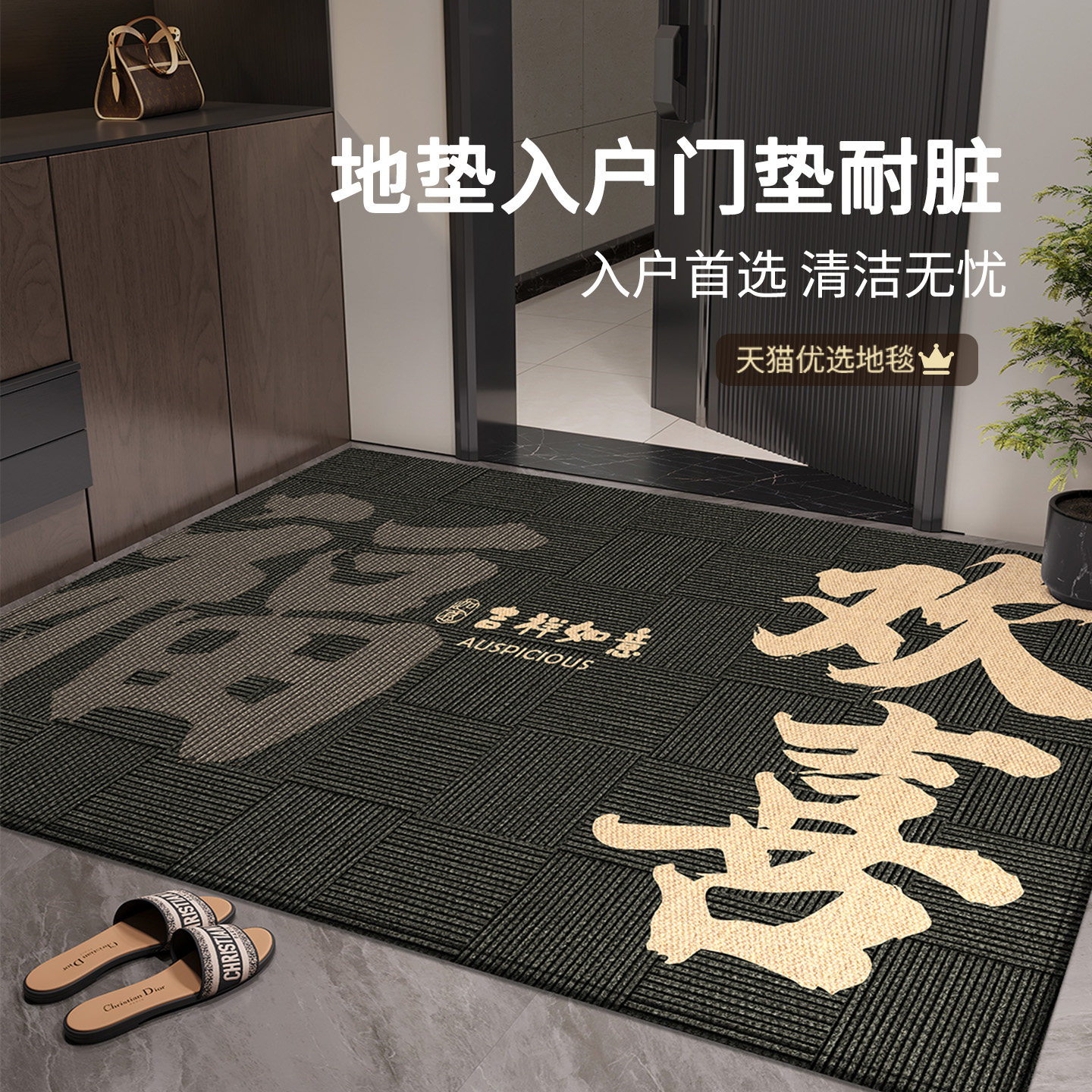 地垫入户门垫耐脏进门2026新款脚垫家用室内室外高级感防滑免洗垫