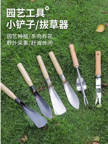 锰钢材质园艺小铲子，移栽菜苗，园艺载花，种菜都非常的方便