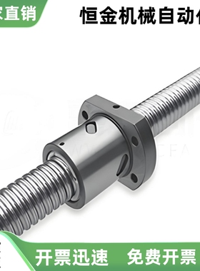 滚珠丝杠BSWE1002-L393 L385 L172 L453 L313 L303-T18-R-N-B