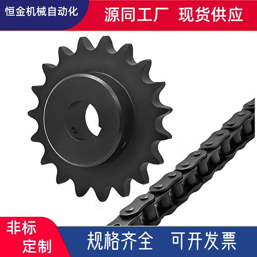 链轮100系列（20A）VLN02-100-10 11 12 13 14 15 16 17-D25 D28
