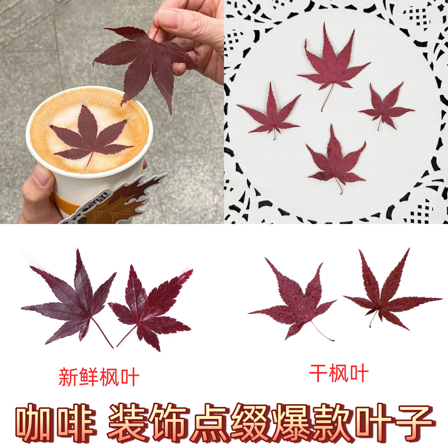 新鲜真空包装红枫叶秋季咖啡奶茶鸡尾酒装饰叶子餐饮日料刺身摆盘图片