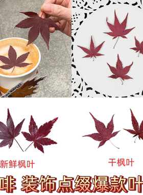 新鲜真空包装红枫叶秋季咖啡奶茶鸡尾酒装饰叶子餐饮日料刺身摆盘