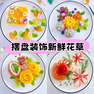 酒店西餐食品烘焙日料刺身摆盘装饰网红花草三色堇薄荷芽清香木叶