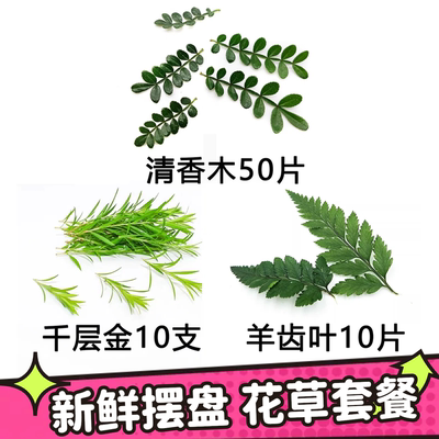 食品工厂蛋糕烘焙商用摆盘装饰新鲜花草清香木叶子羊齿叶黄金柳芽
