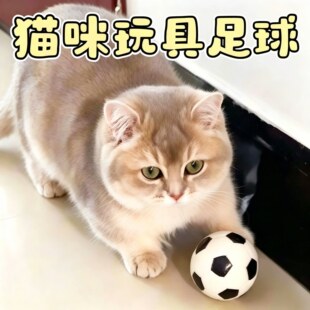 猫玩具仿真足球自嗨解闷消耗精力耐啃咬宠物互动训练器用品逗猫棒