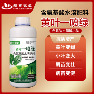 正品黄叶一喷绿黄叶变绿小叶变大蔬菜花卉果树微量元素通用水溶肥