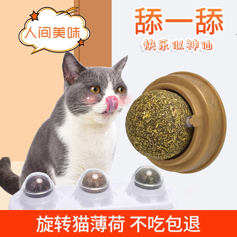 薄荷养只宠物自嗨磨牙