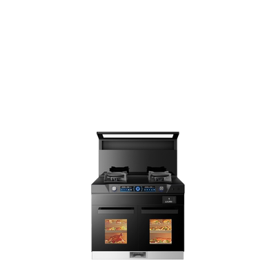 冈田（日本）集成灶一体双灶三灶