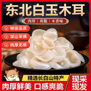 东北白玉木耳干货肉厚鲜美小碗耳干净无根精选长白山特产旗舰店