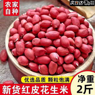 东北红皮花生米官方旗舰店2026新货不带壳孕妇补气养血红衣花生仁