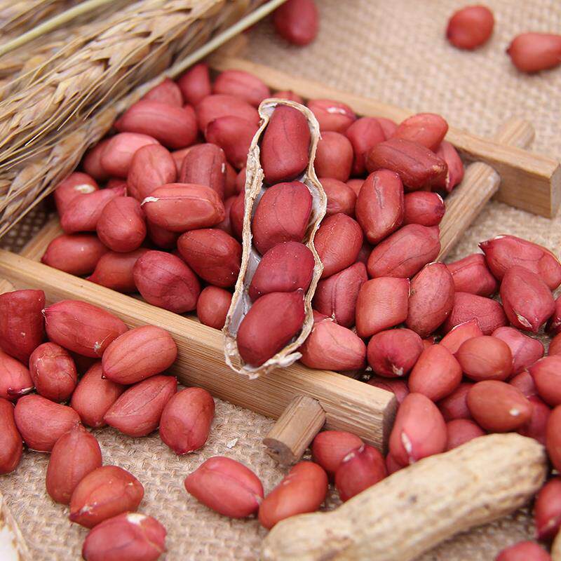 老郭家铺子东北红衣花生米黑龙江四粒红皮生花生仁不带壳2025年新