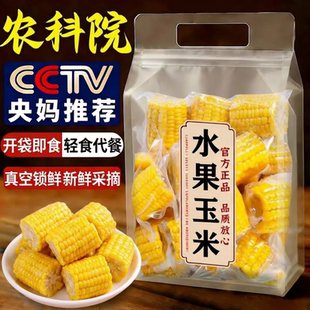 即食玉米水果甜玉米段真空包装开袋学生宿舍免煮早餐减脂速食代餐