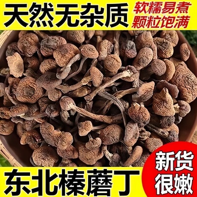 东北纯野生榛蘑丁特级干货农家小鸡炖蘑菇特产菌菇官方旗舰店正品