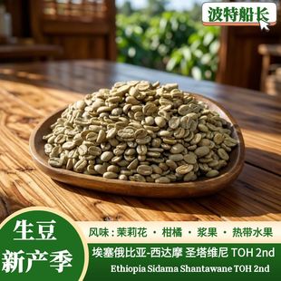 2nd 波特船长新产季 TOH 西达摩 水洗圣塔维尼咖啡生豆 埃塞俄比亚
