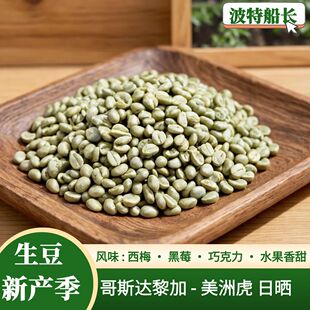 BoteCaptain波特船长新产季进口哥斯达黎加-美洲虎日晒咖啡生豆