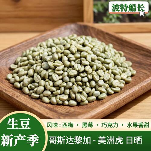 波特船长哥斯达黎加美洲虎日晒豆