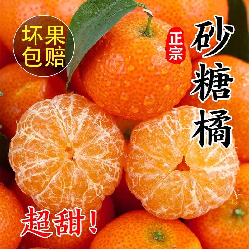 广西砂糖橘正宗金秋沙糖桔5斤新鲜当季水果整箱现摘现发香甜多汁