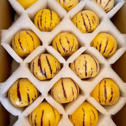 人参果云南新鲜5斤水果树上熟黄肉圆果腾冲火山灰土壤甜度高农家