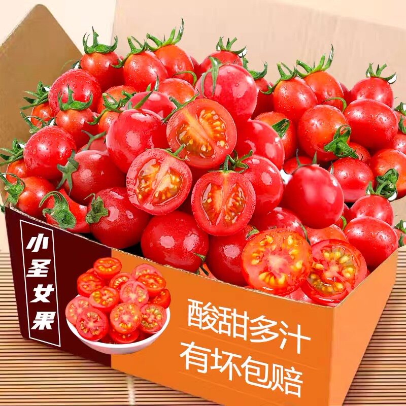 新鲜露天圣女果5斤小番茄新鲜水果当季自然熟蔬菜西红柿生吃千禧