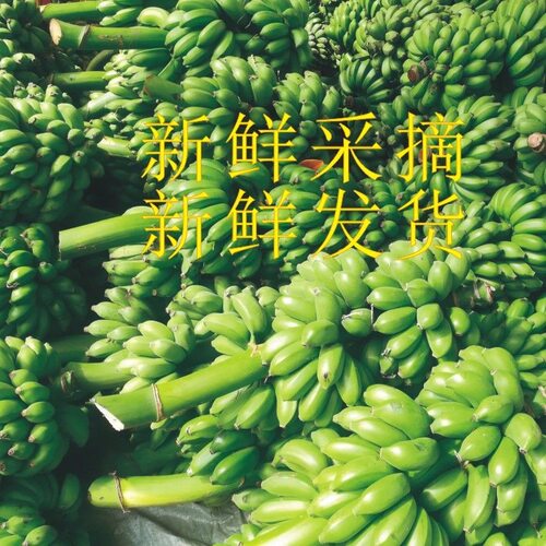 广西香蕉新鲜小米蕉9斤水果包邮小香芭蕉苹果蕉自然熟当季整箱