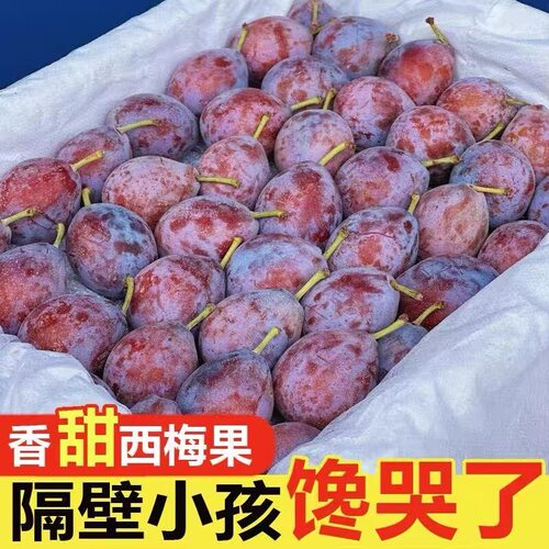 新鲜西梅新鲜水果5斤装法兰西脆甜李子大果当季整箱孕妇现摘