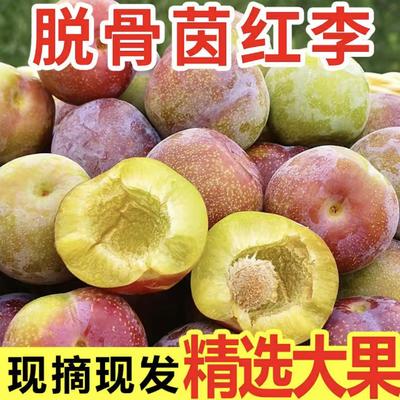 四川半边茵红李脱骨李子新鲜5斤茵红李当季水果三华蜂糖脱骨