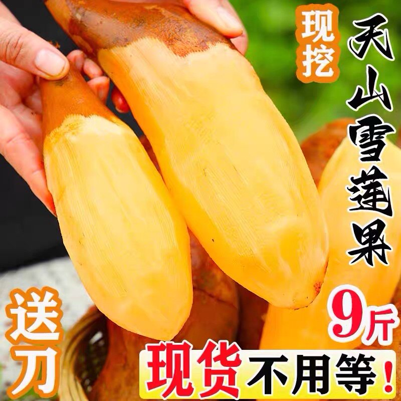 天山雪莲果9斤水果新鲜应当季云南孕妇特红泥黄心雪连果整箱级包