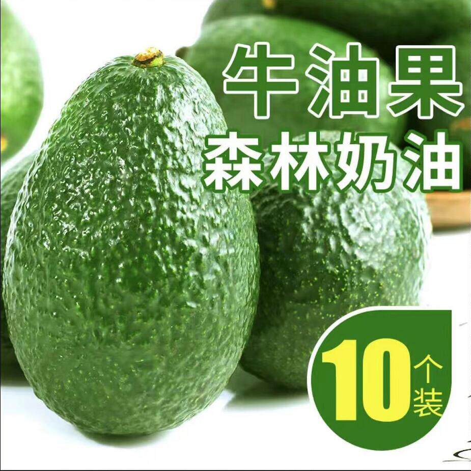 云南新鲜现摘牛油果10个小果装新鲜水果当季即食鳄梨小果水果