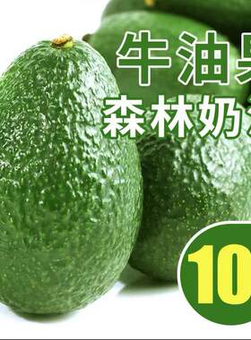 云南新鲜现摘牛油果10个小果装新鲜水果当季即食鳄梨小果水果