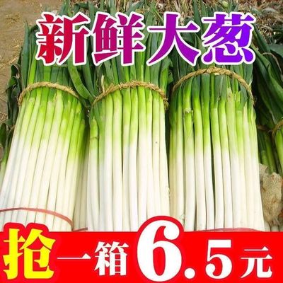 山东正宗章丘新鲜铁杆大葱9斤蔬菜蘸酱农家现挖包邮甜葱嫩葱新