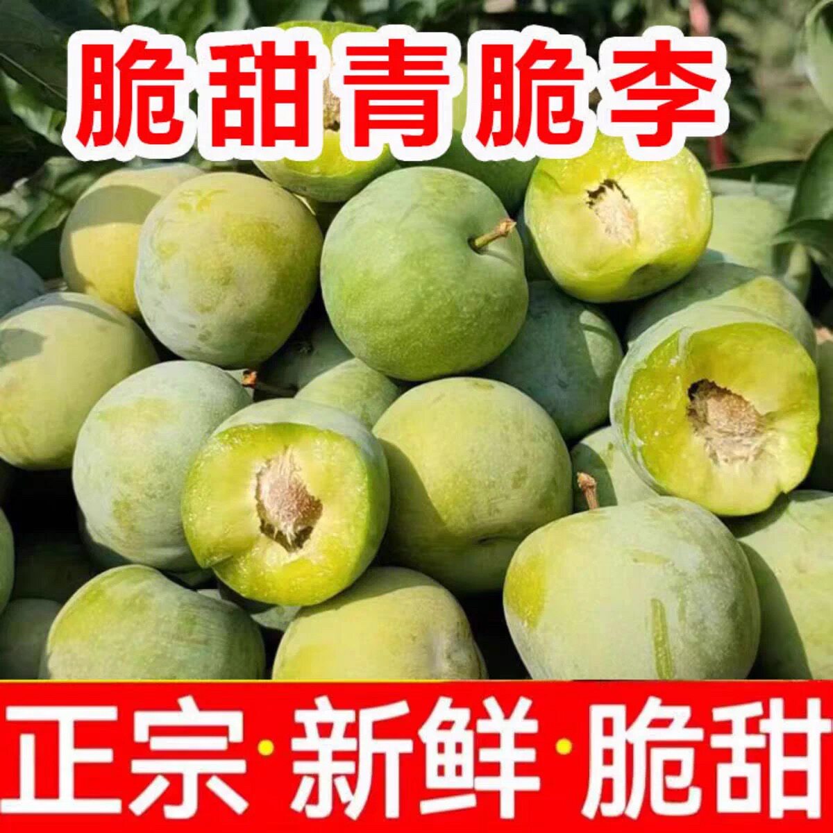 四川李子新鲜水果青脆李孕妇应季时令空心脱骨李整箱巫山脆李现摘
