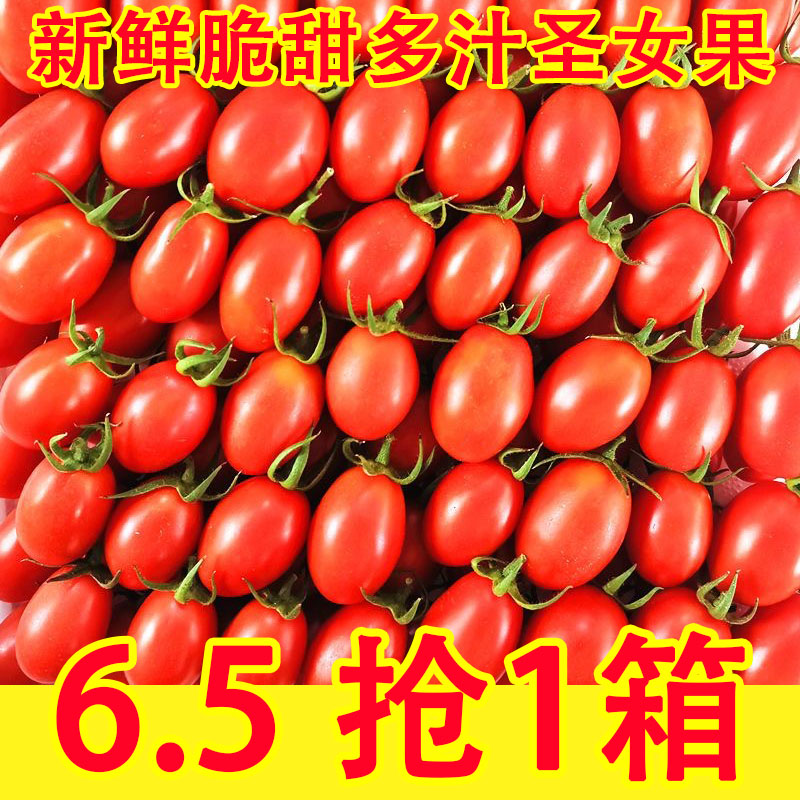 新鲜圣女果千禧小番茄樱桃小西红柿孕妇水果现摘现发5斤包邮