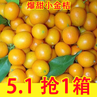 广西桂林脆皮金桔5斤桔子应当季现摘新鲜纯甜水果金柑孕妇整箱包